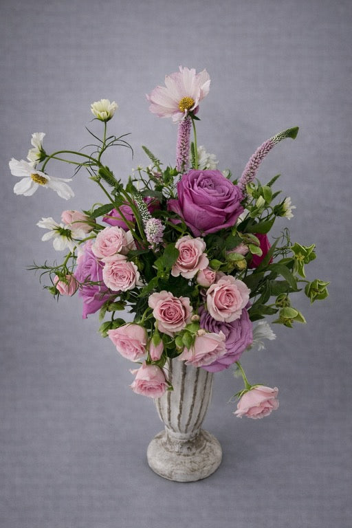 Small Spring Roses