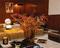Decorative indoor plant in a modern living room with furniture and decor.